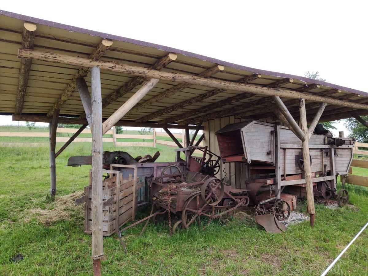 Apartmán Apartmán na statku Červený Kostelec Exteriér fotografie