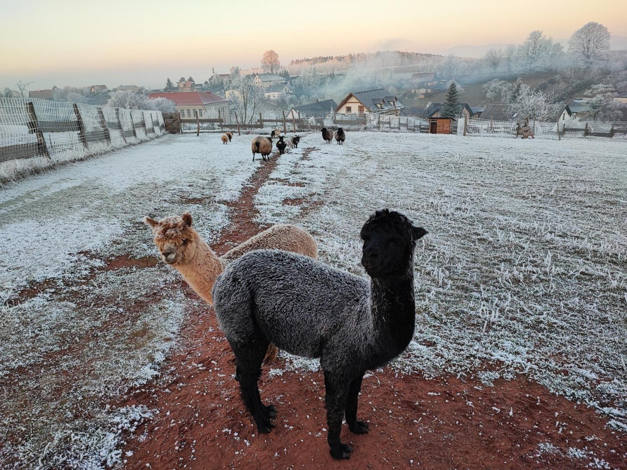 Apartmán Apartmán na statku Červený Kostelec Exteriér fotografie