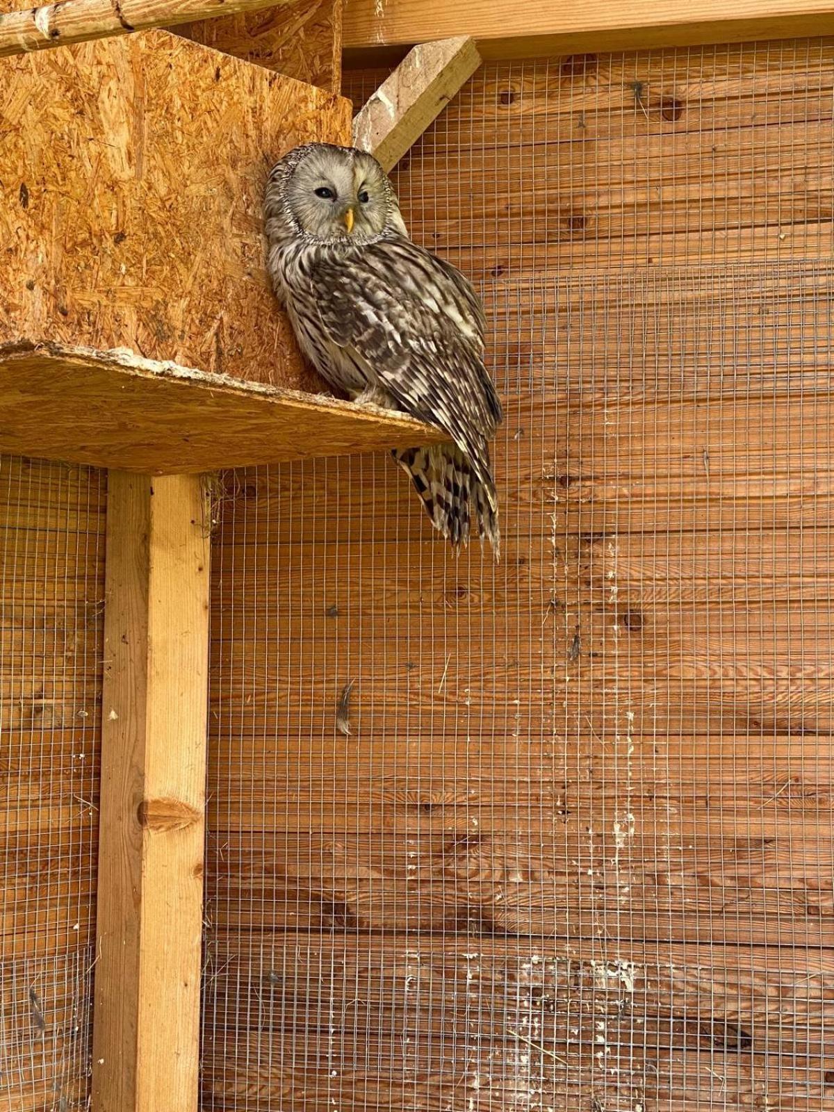 Apartmán Apartmán na statku Červený Kostelec Exteriér fotografie